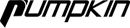 Pumpkin logo